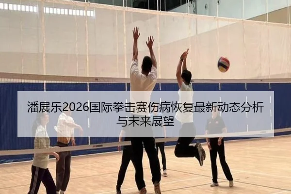 潘展乐2026国际拳击赛伤病恢复最新动态分析与未来展望