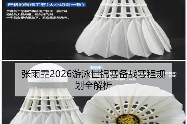 张雨霏2026游泳世锦赛备战赛程规划全解析