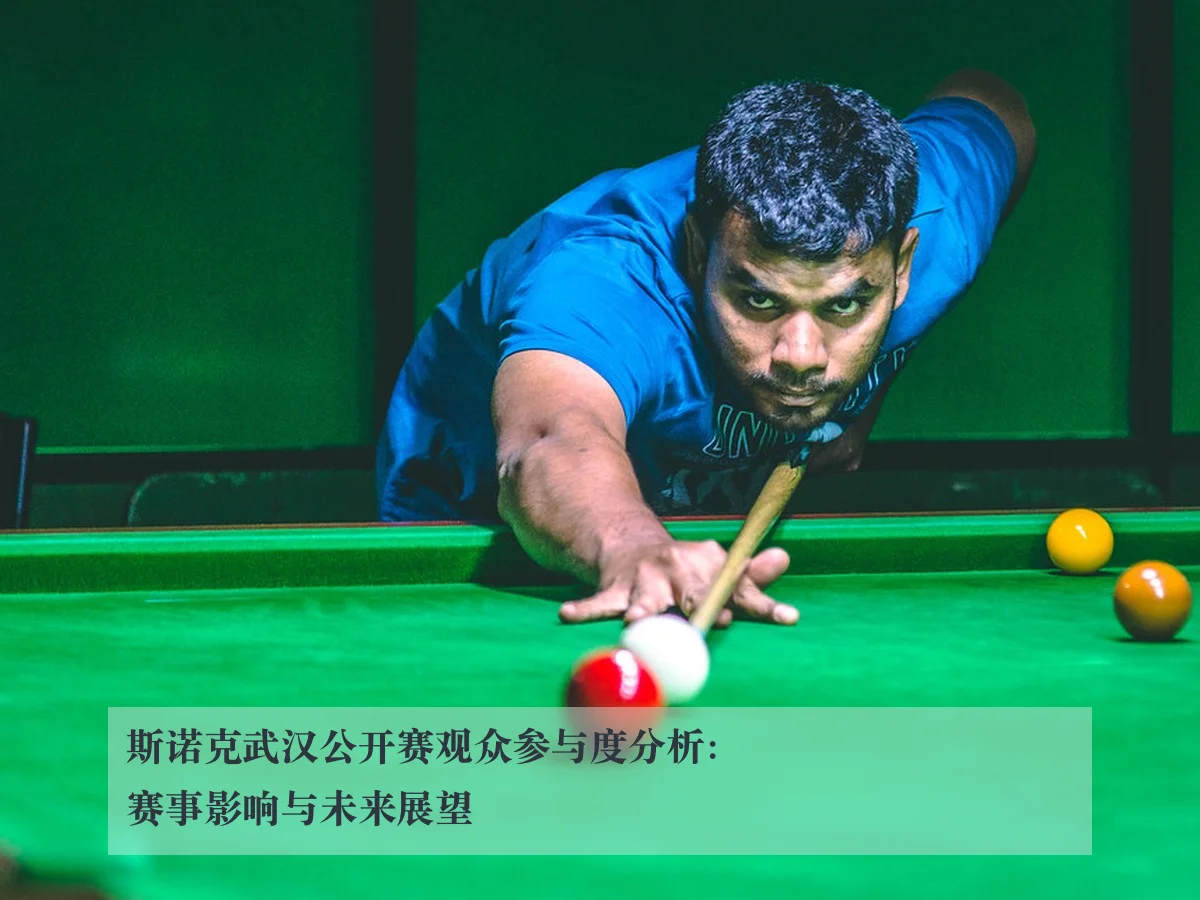 斯诺克武汉公开赛观众参与度分析：赛事影响与未来展望